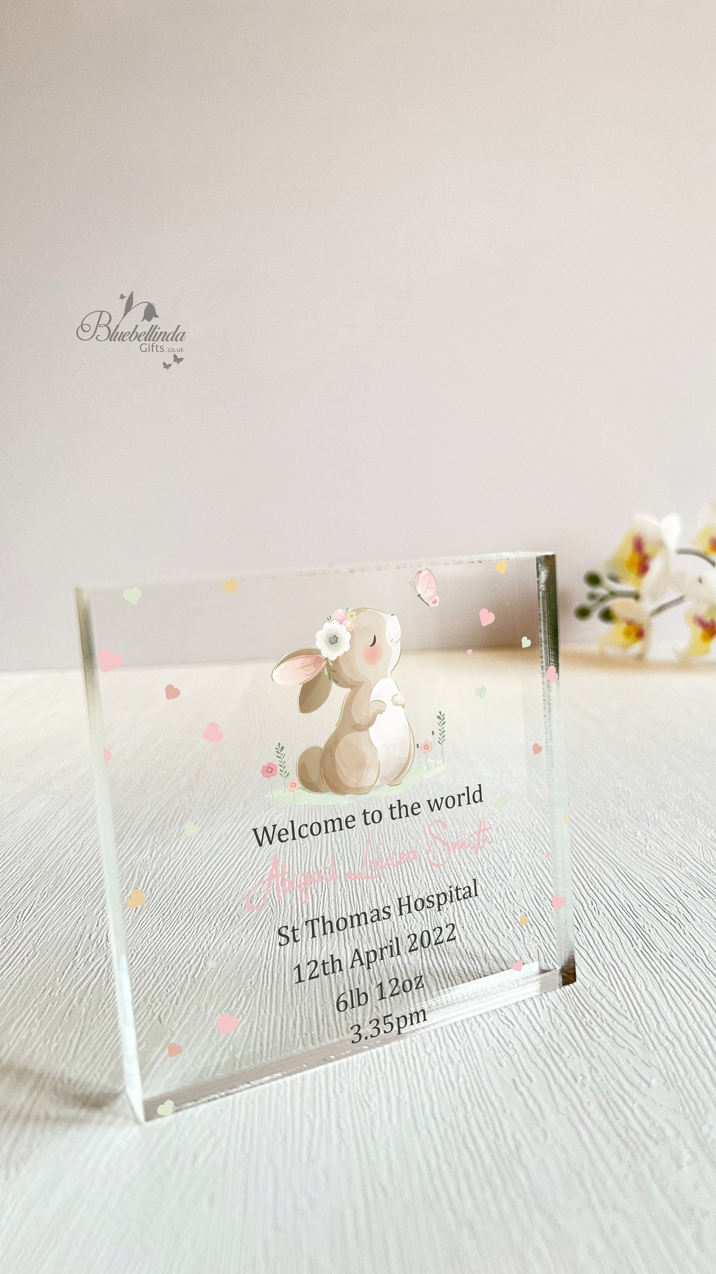 Personalised Bunny Rabbit Butterfly Acrylic Block