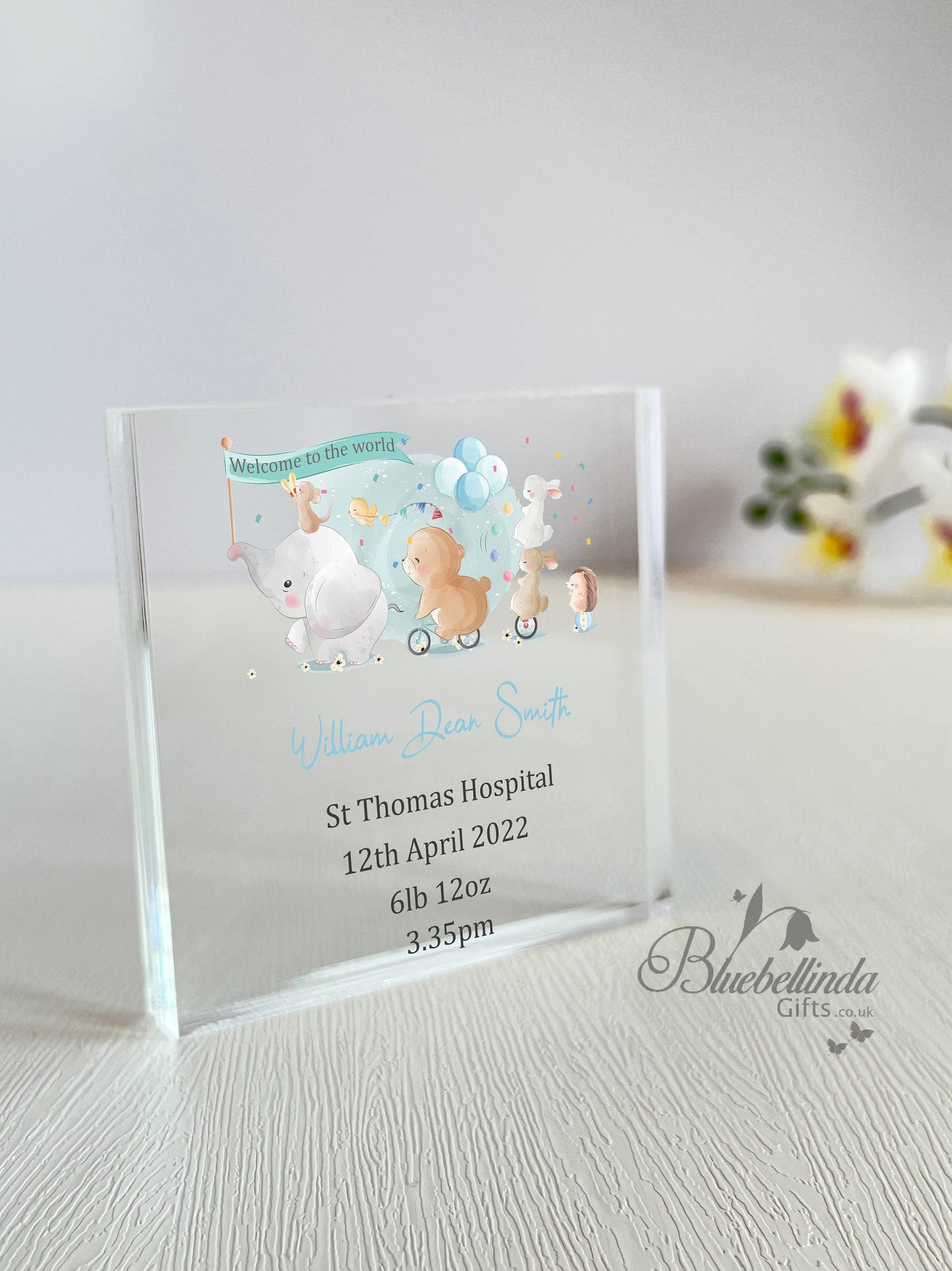 Personalised Animals Bicycle Acrylic Block