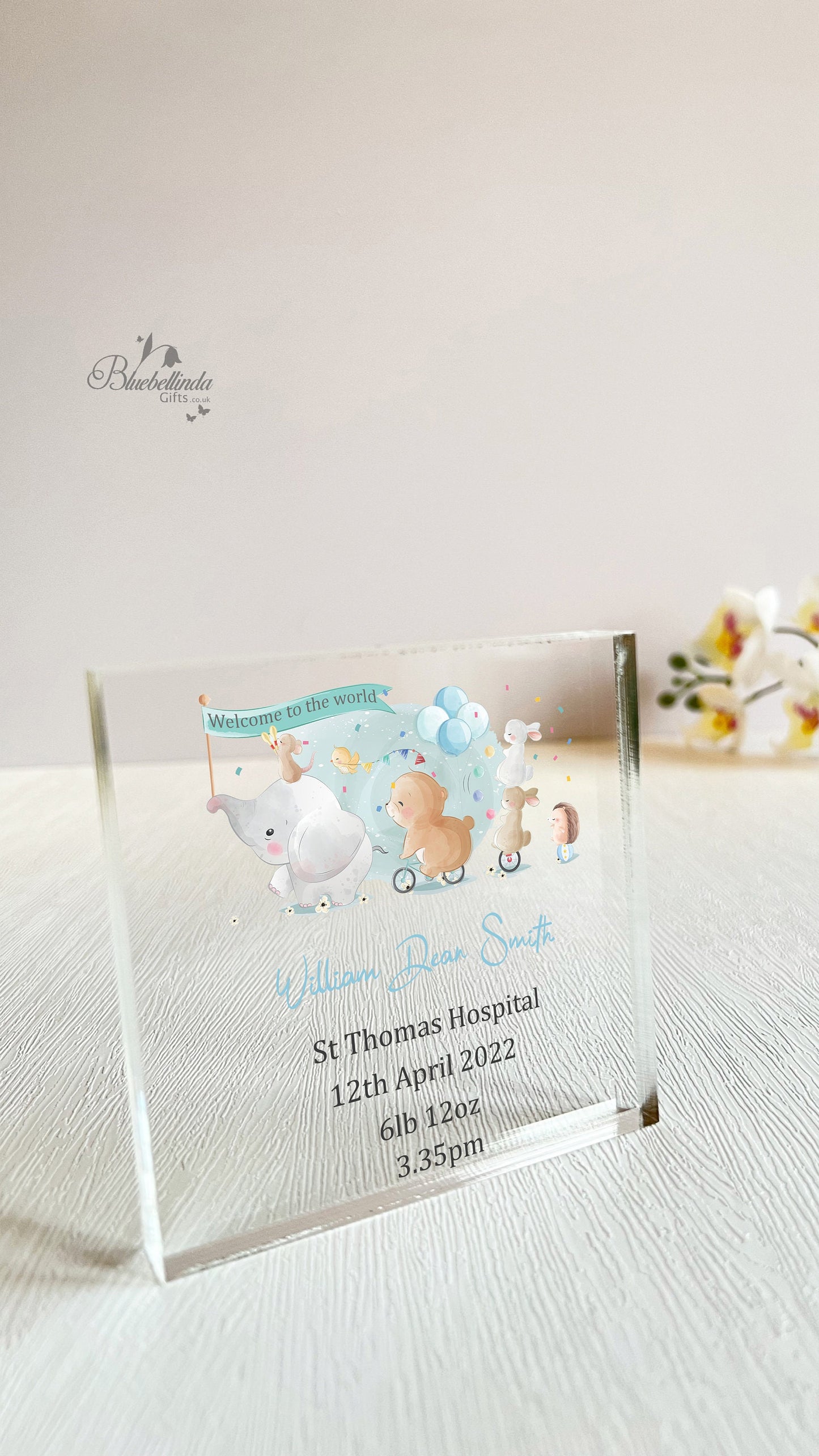 Personalised Animals Bicycle Acrylic Block