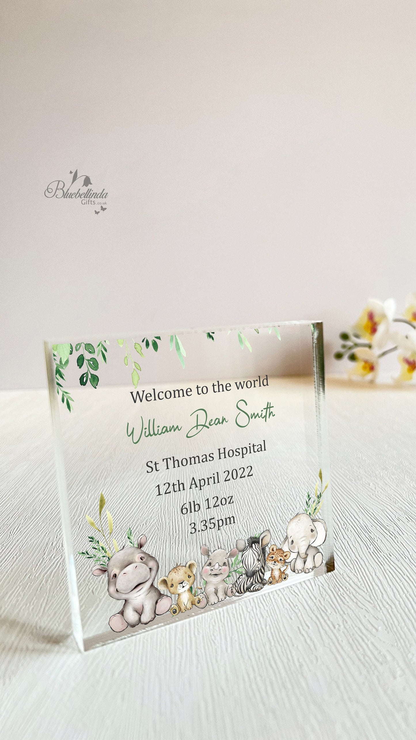 Personalised Safari Animals Acrylic Block