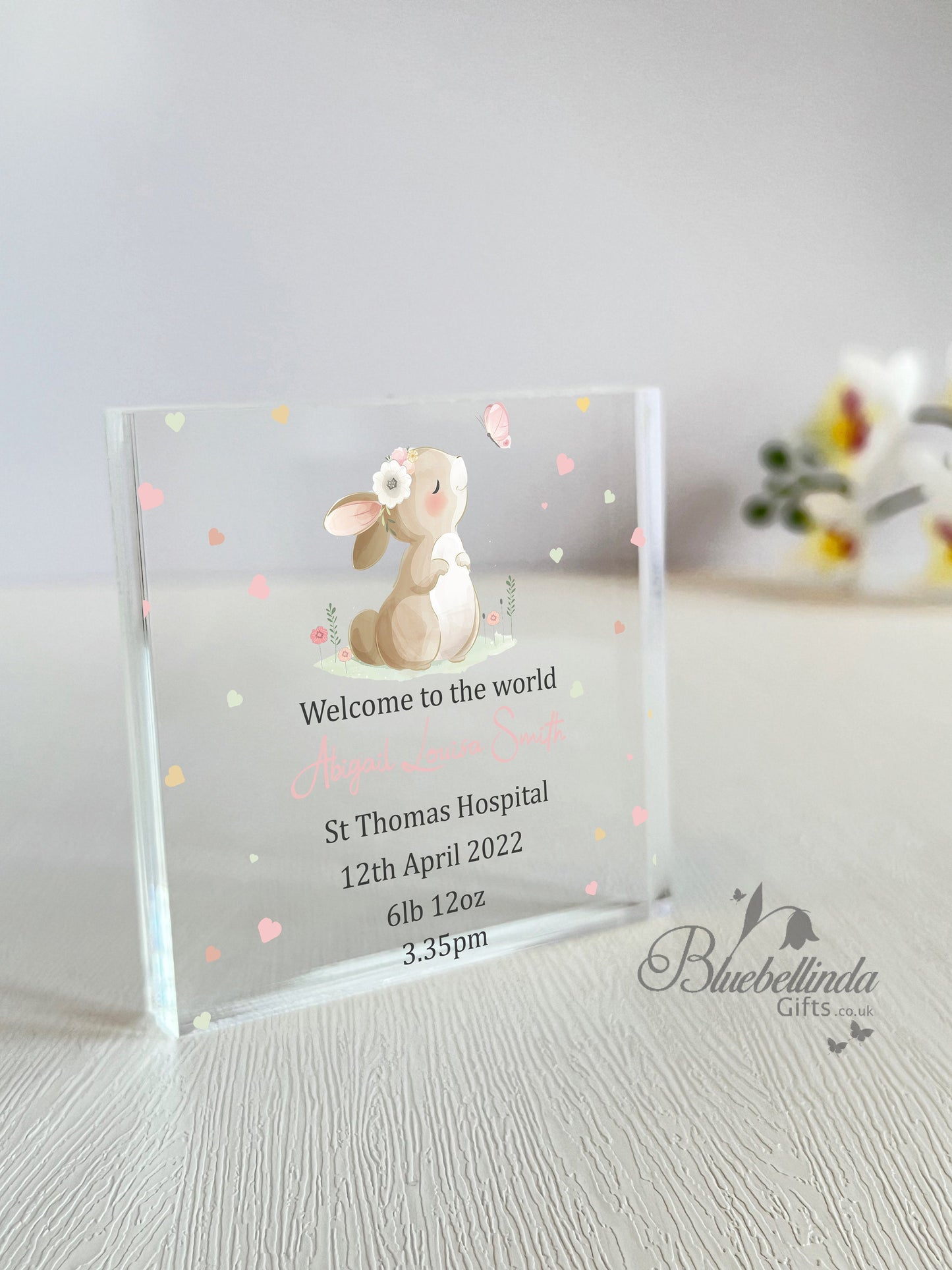 Personalised Bunny Rabbit Butterfly Acrylic Block