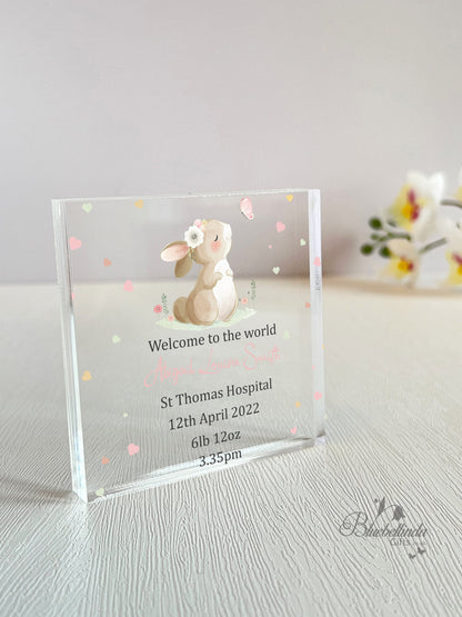 Personalised Bunny Rabbit Butterfly Acrylic Block